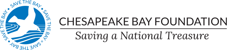 chesapeake-bay-foundation